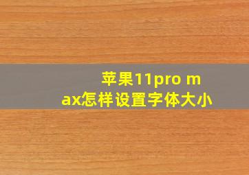 苹果11pro max怎样设置字体大小